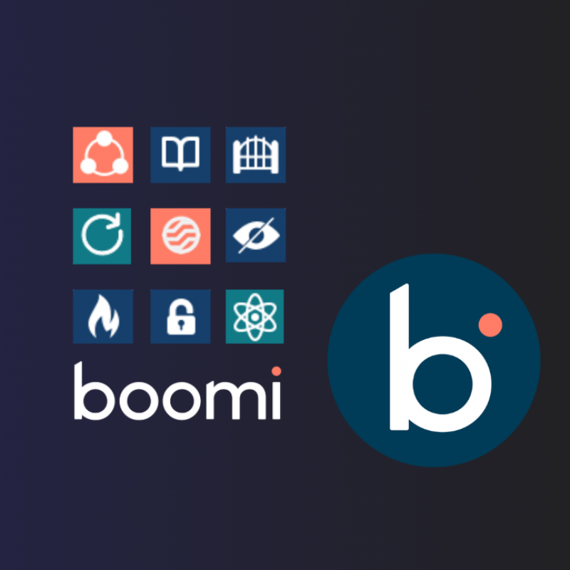 Boomi API Visual Interface